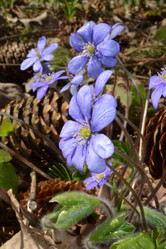 Similar image 627611