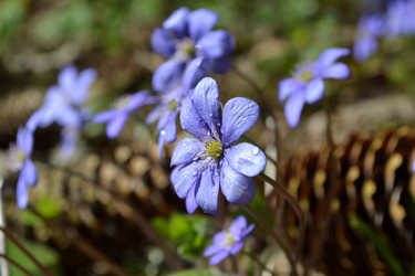 Similar image 627614