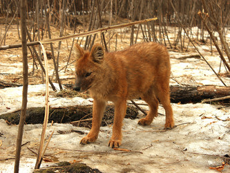 Similar image 627622