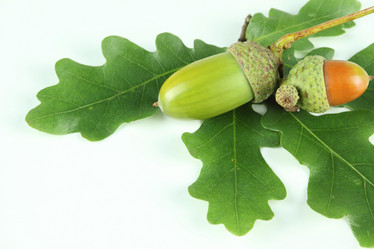 Similar image 627627