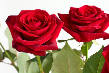 Similar image 627708