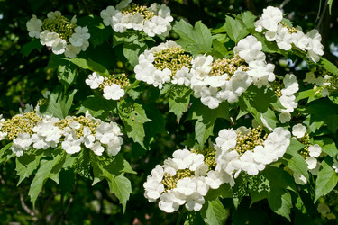 Similar image 627711