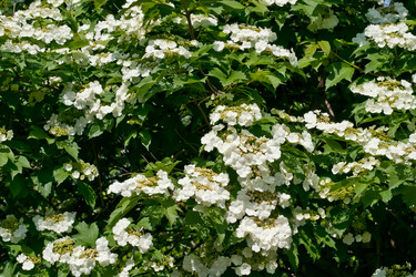 Similar image 627713