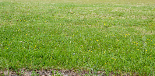 Similar image 627719