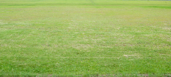 Similar image 627721