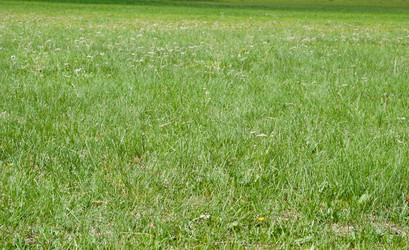 Similar image 627724