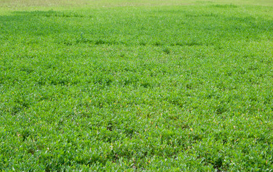 Similar image 627725