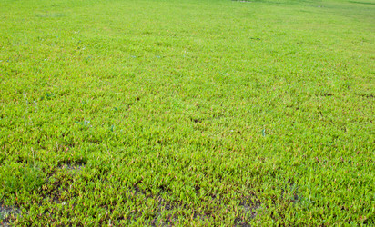 Similar image 627726