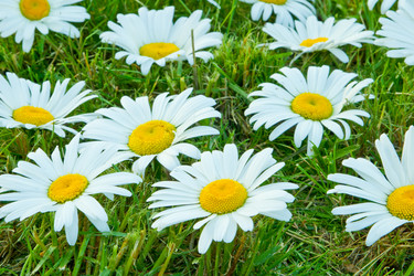 Similar image 627731