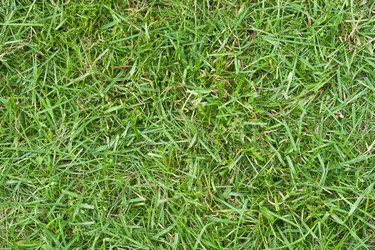 Similar image 627740