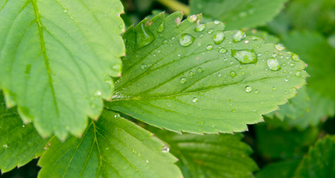 Similar image 627743