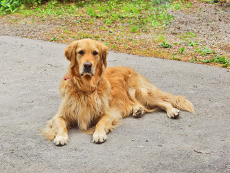 Similar image 627744