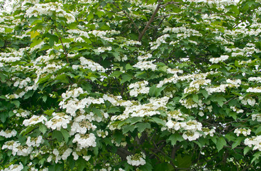 Similar image 627746