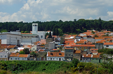 Similar image 627753