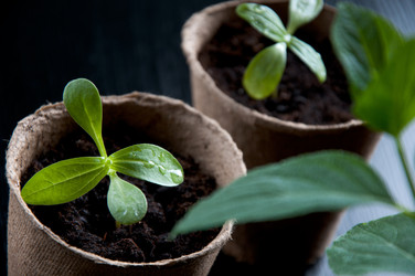 Similar image 627865