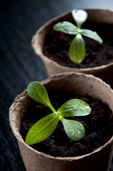 Similar image 627866