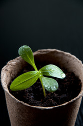 Similar image 627868