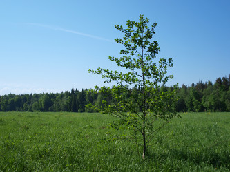 Similar image 627869