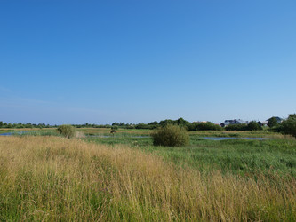 Similar image 627870