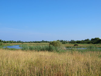 Similar image 627871