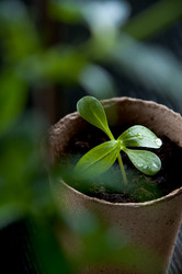 Similar image 627872