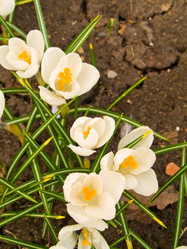 Similar image 627895