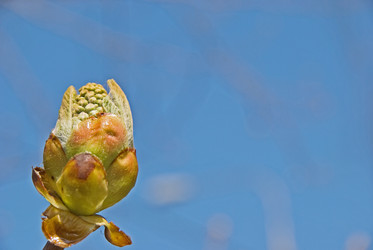 Similar image 627914