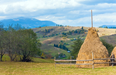 Similar image 627941