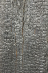 Similar image 627958