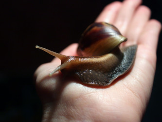 Similar image 628026