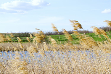 Similar image 628050