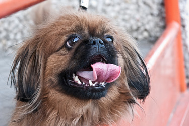 Similar image 628051