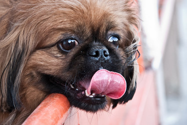 Similar image 628052