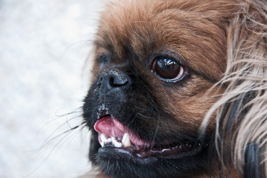 Similar image 628053