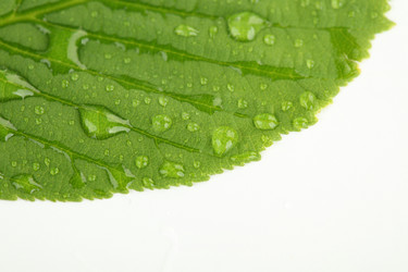 Similar image 628075