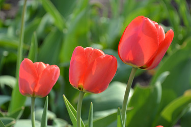 Similar image 628084