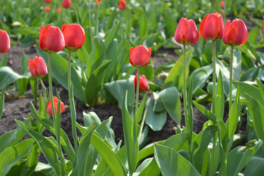 Similar image 628086