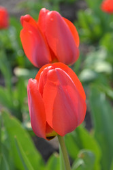 Similar image 628088