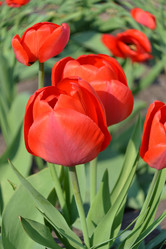 Similar image 628090