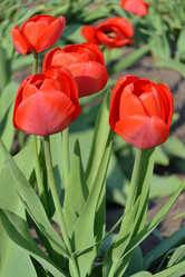 Similar image 628089