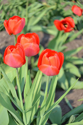 Similar image 628091