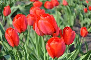 Similar image 628092