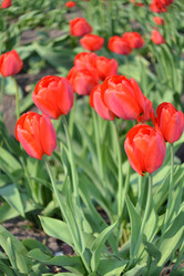 Similar image 628094