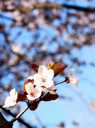 Similar image 628100