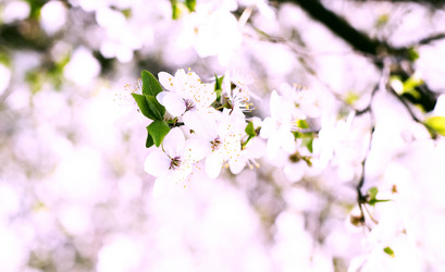 Similar image 628102