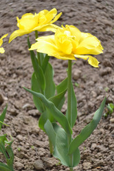 Similar image 628103