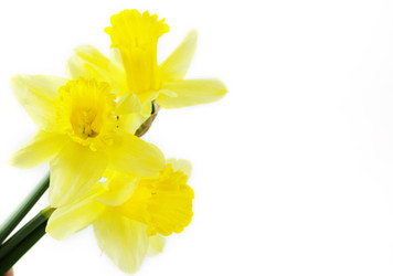 Similar image 628107