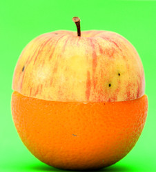 Similar image 628109