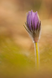 Similar image 628113