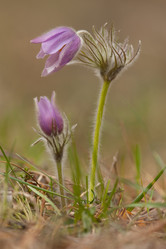 Similar image 628114